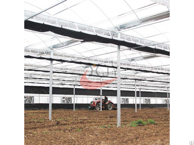 Agriculture Plastic Large Multi Span Greenhouse For Sale