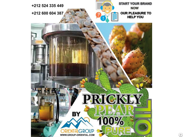 Prickly Pear Seed Oil Wholesale