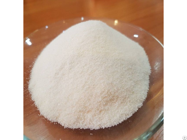 Condensed Milk Powder