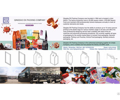 Plastic Packaging Bags