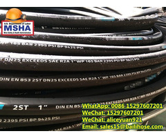 #hose #bailihose #smoothhydraulichose #r1 #r2 #4sp #r9 #r12 #r13 #r15 #1sc #2sc #r16 #r17 #r3 #r6