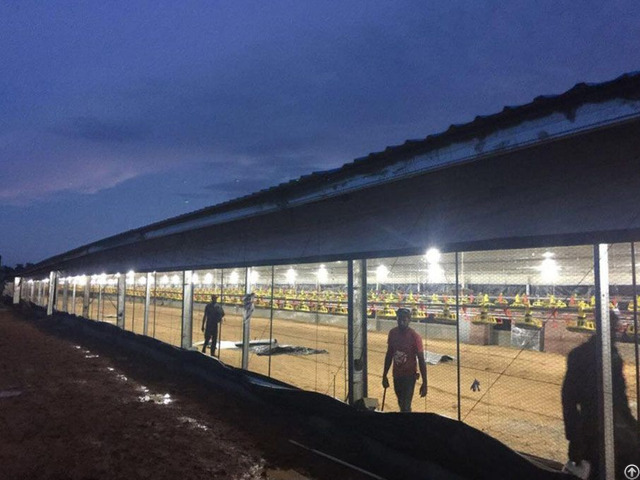 Prefabricated Steel Structure Broiler House For Poultry Shed