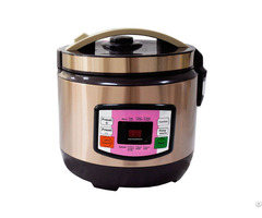 Stainless Steel Golden Intelligent Braille Talking Rice Cooker