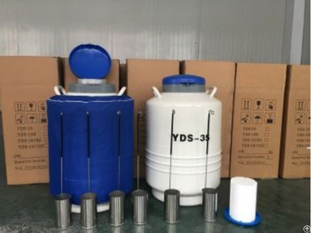Liquid Nitrogen Biological Dewar Tank For Transportation Cryocooler