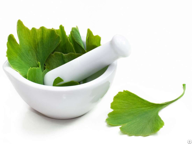 Ginkgo Biloba Extract Flavone Glycosiders