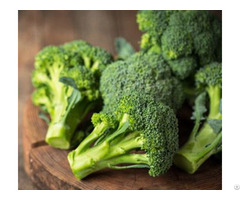 Broccoli Extract Glucoraphanin Glucosinolate