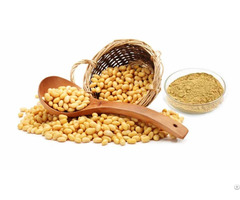 Soybean Isoflavones Daidzin