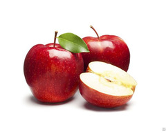 Apple Extract Polyphenols Phlorizin
