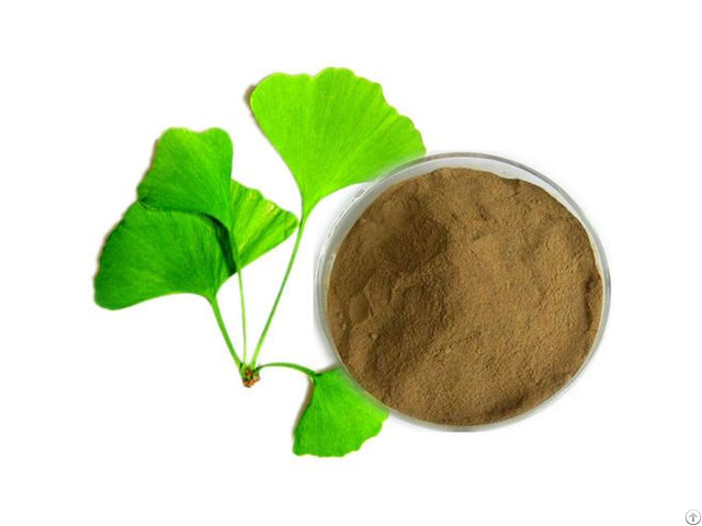 Plant Extract Ginkgo Flavone Glycosides Total Terpene Lacton
