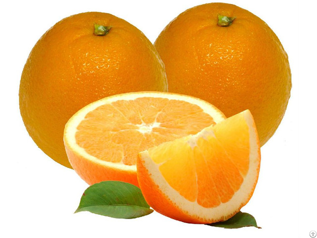 Citrus Nobiletin Fruit Extract