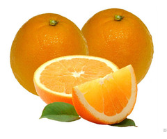 Citrus Nobiletin Fruit Extract