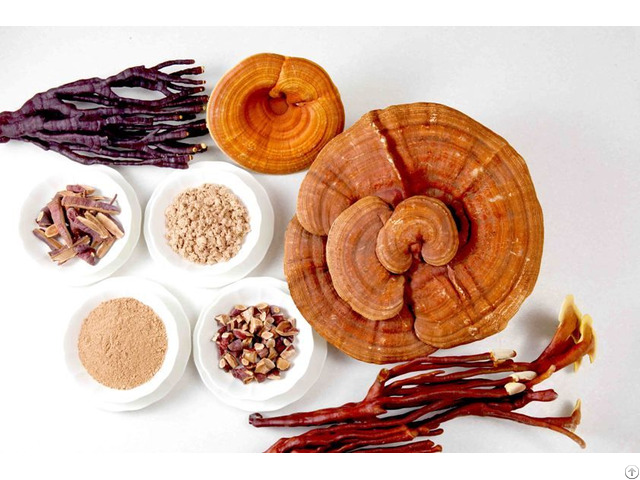 Reishi Extract Polysaccharides