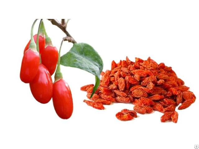 Goji Extract Polysaccharides