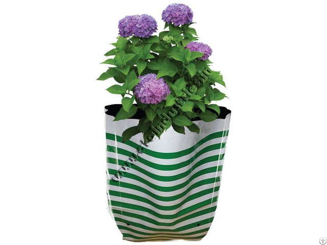 Colourfully Stripe Grow Bag