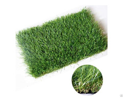 Landscape Artificial Grass