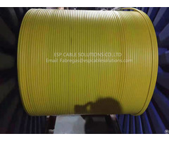 Tubing Encapsulated Cable