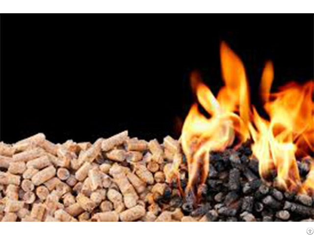 The Important Contribution Of Wood Pellet Machine In New Energy Industry