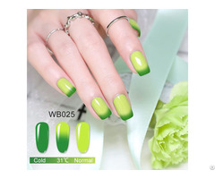 New Nail Art Color Changing Dip Powder