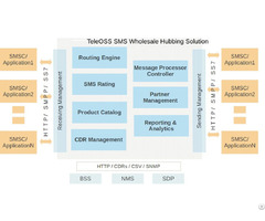 Sms Gateway Software Provider Teleoss