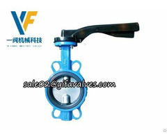 Double Stem Wafer Butterfly Valve