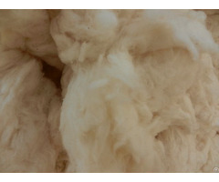 Cotton Waste Comber Noils From Pakistan