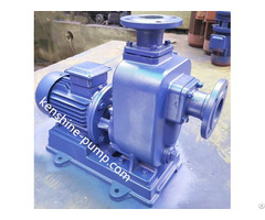 Zwl Self Priming Sewage Pump Directly Coupled Connection