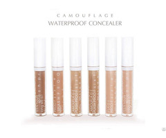 Waterproof Concealer