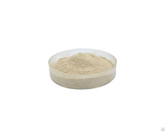 Fucoidan Kelp Extract