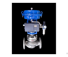 Ln81 Series Single Seat Globe Control Valve