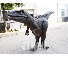 Dinosaur Costume Adult