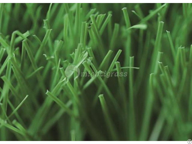 Residential Artificial Grass Mt Venus