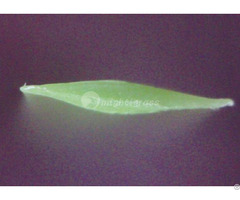 Commercial Artificial Grass Mt Promising