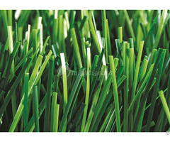 Artificial Grass For Pets Mt Graceful