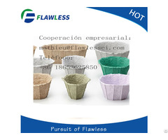Flower Pot