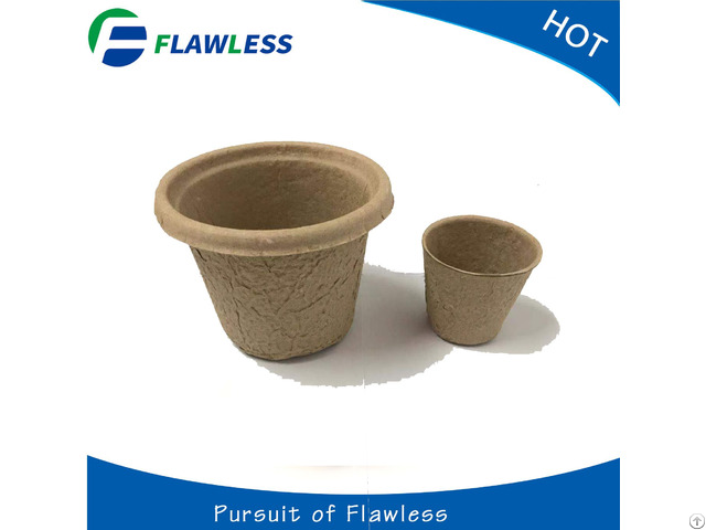 Flawless Paper Seedling Tray