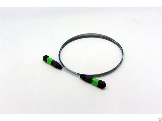 Mpo Sm 8 Core Optical Fiber Patch Cord