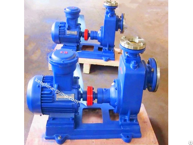 Cyz A Self Priming Fuel Oil Pump