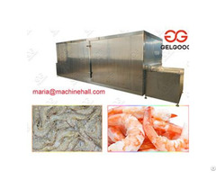 Iqf Freezer Food Process Machine