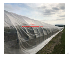 Anti Insect Net For Agriculture