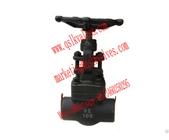 High Pressure Forged Type Globe Valve