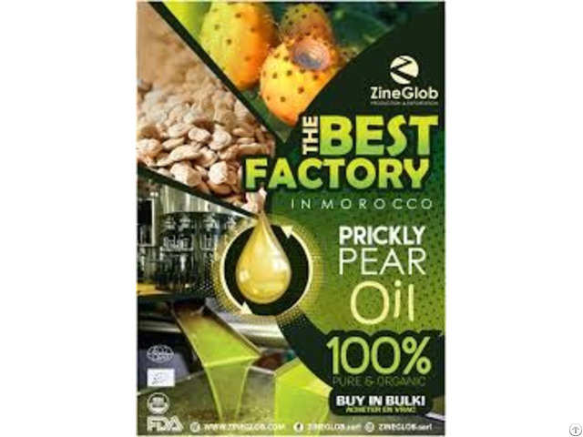 Zineglob Producer Wholesaler And Exporter Of Prickly Pear Oil