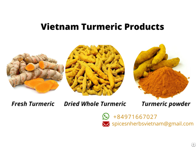 Vietnam Turmeric Export Products