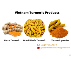 Vietnam Turmeric Export Products
