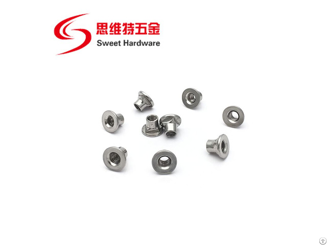 Stainless Steel 304 Anti Theft Security Shear Nut
