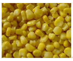 Sell Frozen Sweet Corn