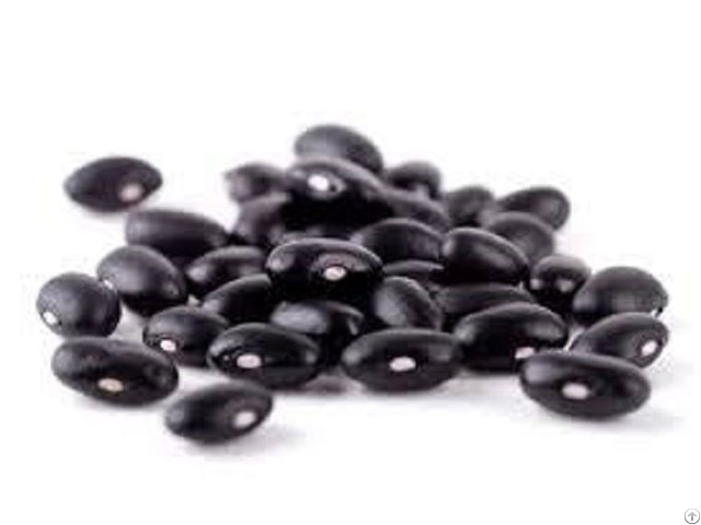 Organic Black Soybean