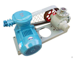 Yqb Lpg Transfer Pump