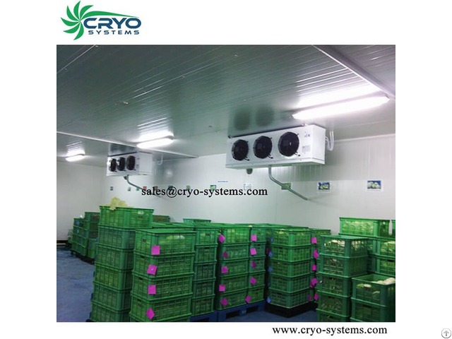 Cold Storage Room For Storing Fruit And Vegetable Walk In Freezer