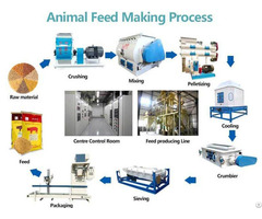 Animal Feed Plant 2 3t H Introduction