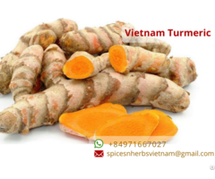 Fresh Turmeric Vietnam